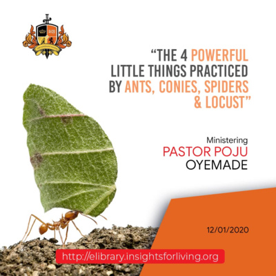 The 4 Powerful little things practiced by ants, conies, spiders and locusts (pt 1 and 2)