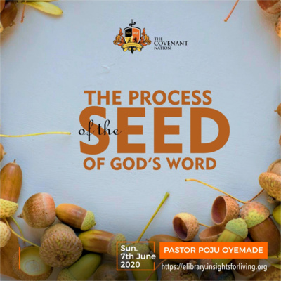 The Process of the Seed of God's Word