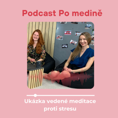 #5 Ukázka vedené meditace proti stresu episode artwork