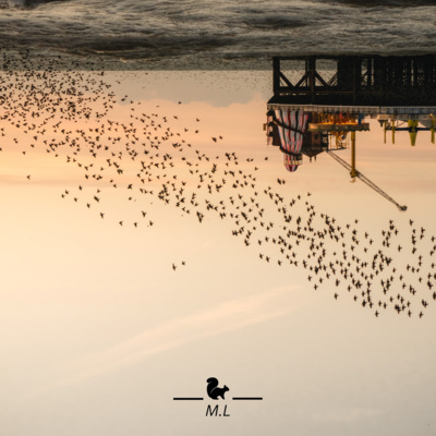 (Mini-Series Archive) Part 5 (Mini-Series Archive) Part 5