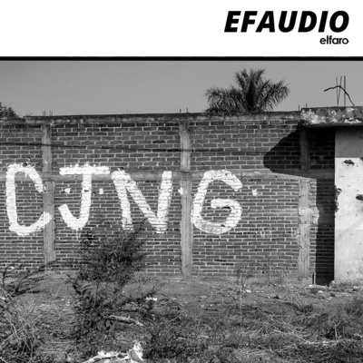 The Guatemalan Link between Jalisco New Generation Cartel and FARC Dissidents episode artwork