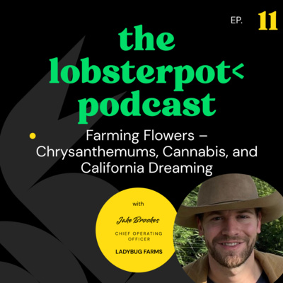 the lobsterpot< podcast