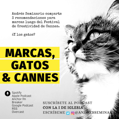 MARCAS, GATOS & CANNES