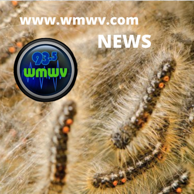 News for Western Maine and the White Mountains