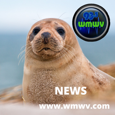 News for Maine and New Hampshire 7-21-22 national Junk Food Day