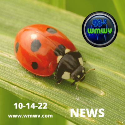 News for Maine and New Hampshire 10-14-22 Ladybugs, River Fire, Kidnapping and More