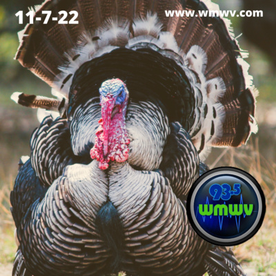 NEWS FOR MAINE AND NEW HAMPSHIRE 11-8-22 TURKEY PRICES, MIRANDA PROBLEMS AND THE ELECTION