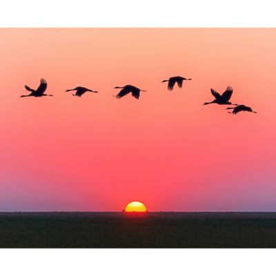 Connect With Your Guides