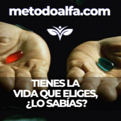 Tienes la vida que eliges, ¿lo sabías?