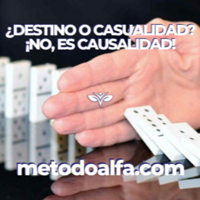 ¿Destino o casualidad? ¡No, es causalidad!