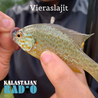 Vieraslajit - aurinkoahvenesta rohmutokkoon episode artwork
