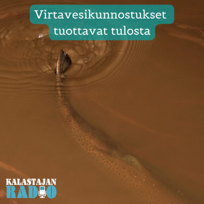 Virtavesikunnostukset tuottavat tulosta episode artwork