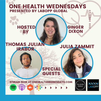 Episode 2: Game based learning to address antimicrobial resistance in calf management Special Guests: Thomas Julian Irabor and Julia Zammit