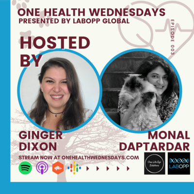 Episode 3: A veterinarian's journey in One Health in India. Special Guest: Monal Daptardar