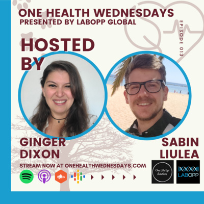 Episode 13: Seaweed world with Sabin. Critical component to global health. Special Guest: Sabin Liulea