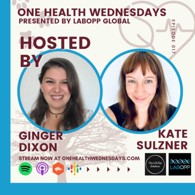 Episode 17: Impacting global health with sisterhood and community babies. Special Guest: Kate Sulzner