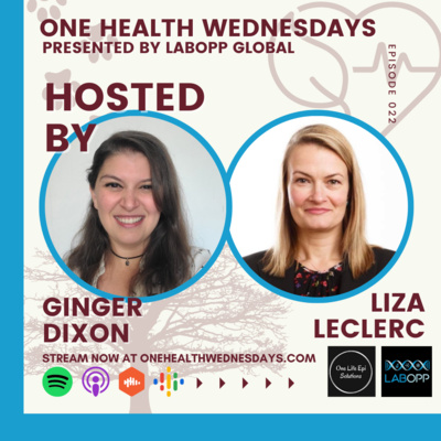 Episode 22: Don't walk! Run to embed climate change thinking in the world around you. Special Guest: Liza Leclerc