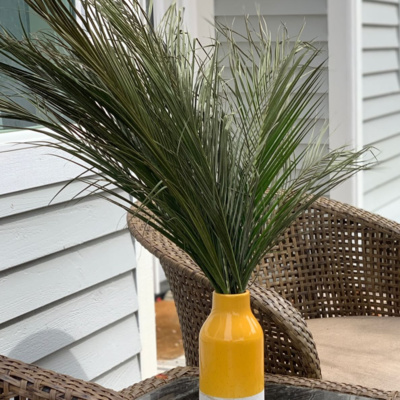 The Kitsap House Podcast