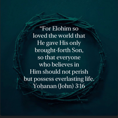 #3: Waiting On The King Wednesday Episode 1 (John 1-3)