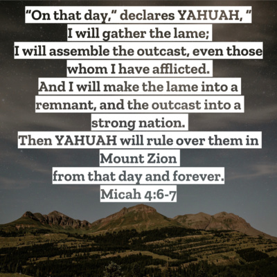 #8 Daily Reading: Exodus 1-4