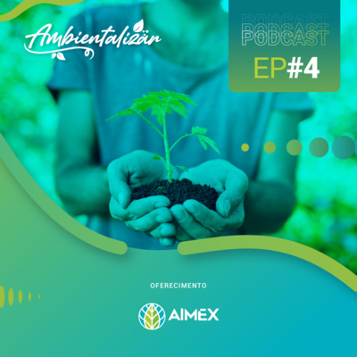 Ambientalizar #04 - Consumo consciente de produtos madeireiros Ambientalizar #04 - Consumo consciente de produtos madeireiros