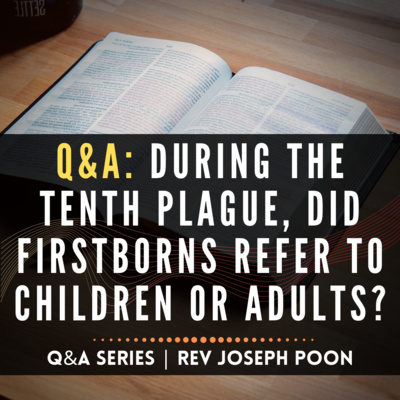During The 10th Plague, Did Firstborns Refer To Children Or Adults? - Bible Q&A Series | 30 Oct 2022