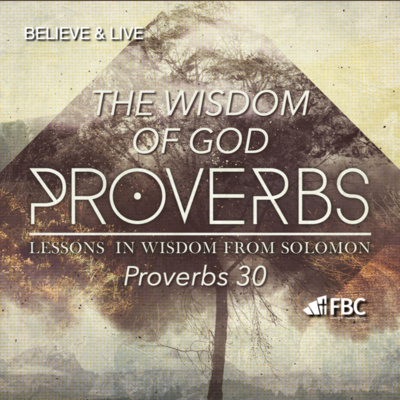 "The Wisdom of God" - Proverbs 30 (June 29, 2022)