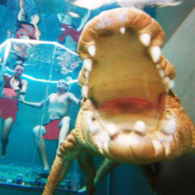 Ep. 36 – Why Crocodiles Are Crazy… And so are People (Podcast) Ep. 36 – Why Crocodiles Are Crazy… And so are People (Podcast)