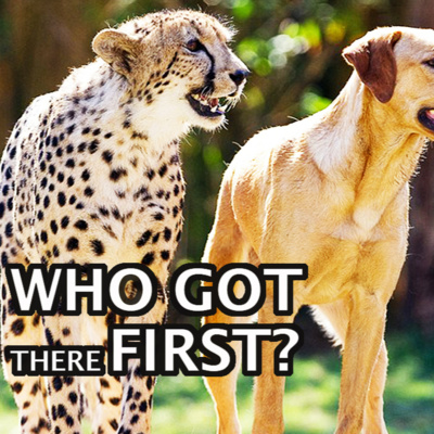 Ep. 39 – Why Domestic Animals Should BE in The Zoo (Podcast) Ep. 39 – Why Domestic Animals Should BE in The Zoo (Podcast)