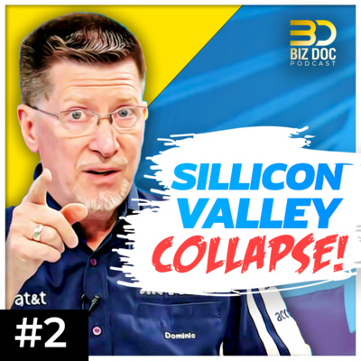 The Biz Doc Podcast