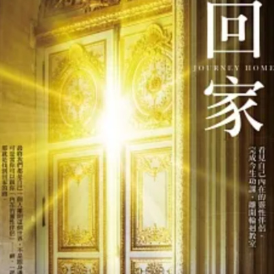 你有心靈誤區嗎【回家：看見自己內在的靈性伴侶完成今生功課離開輪迴教室】章成｜梅塔說書MetaEP922 episode artwork