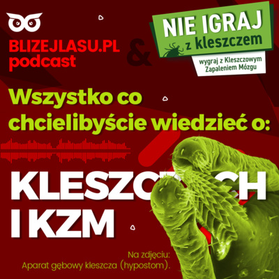 [Zielono w głowie] Wszystko co chcielibyście wiedzieć o kleszczach i kleszczowym zapaleniu mózgu