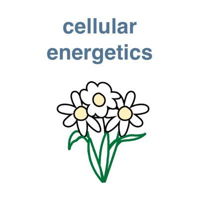 unit 3: cellular energetics  episode artwork