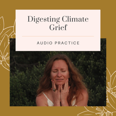 6. Guided Practice: Digesting Climate Grief