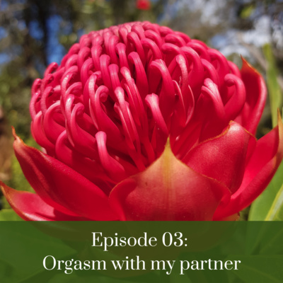 3. Coaching Session: Orgasm with my partner