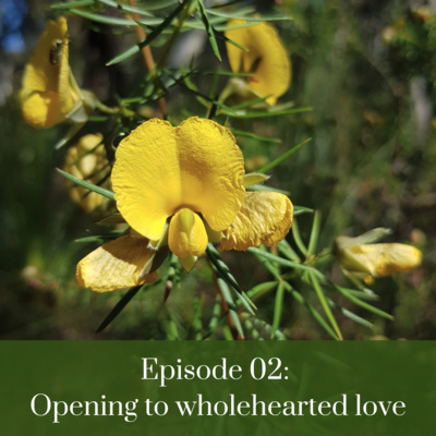 2. Coaching Session: Opening to wholehearted love