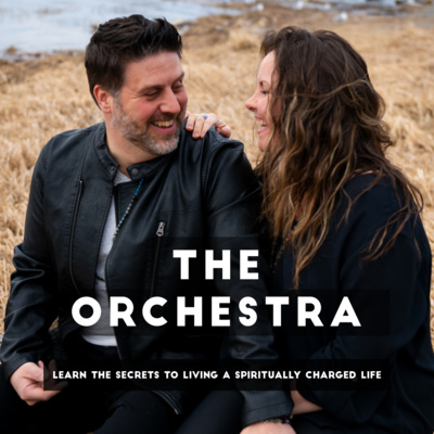 The Orchestra