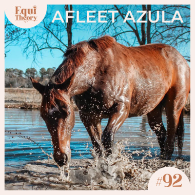 92. Afleet Azula