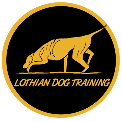 Botanical Veterinary Care - Episode Two - Featuring Sandra from Lothian Dog Training