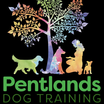 Botanical Veterinary Care - Episode Five - Rizia Robertson, Pentlands Dog Training