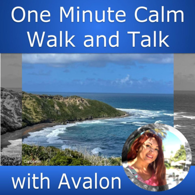 Caribbean Mindfulness Tour: St John's, Antigua part 2 of 12
