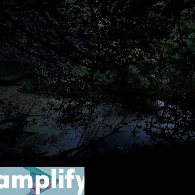 amplify #36 - Anna Murray and Seán Ó Dálaigh