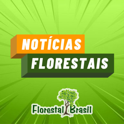 Notícias Florestais - 15/03/2022 - Rússia fora do FSC e Mineração em Terras indígenas