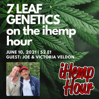 7 Leaf Genetics on the ihemp hour