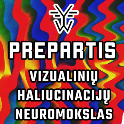 Vizualinių haliucinacijų neuromokslas (su Norberta Balaišyte)