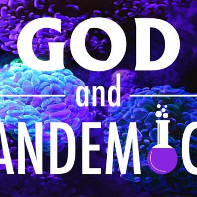 Q&A from God and Pandemics