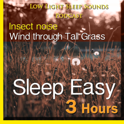 Insects, wind through tall grass | 3 HOURS | White Noise | Relax | Sleep easy | focus | Windy day out in the wheat