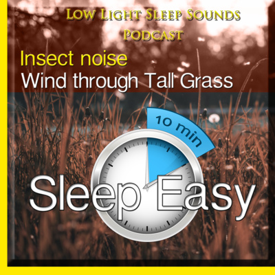 Insects, wind through tall grass | 10 MINUTES | White Noise | Relax | Sleep easy | focus | Windy day out in the wheat