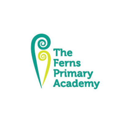 The Leader Within: Season 8 (The Ferns Primary Academy, Bolton)- Ep5 episode artwork
