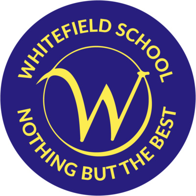 The Leader Within: Season 5 (Whitefield Primary School, Liverpool) Ep4 episode artwork